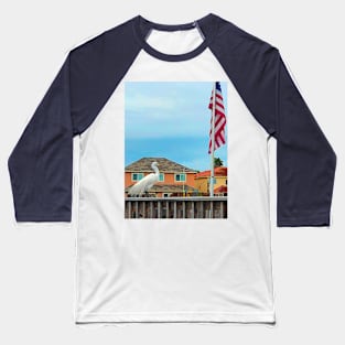 Patriotic Egret Baseball T-Shirt